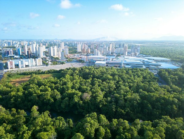 Stratégies essentielles pour réussir une collecte de fonds en soutien à une cause humanitaire